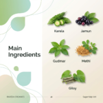 Sugar Kalp Vati – Ayurvedic Blood Sugar & Metabolism Support (30 Tablets) | Raveda Organics - Image 4