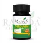 Curcumini Tablet (60 Tablets) – Natural Curcumin for Immunity, Joint Health & Detox | Raveda Organics