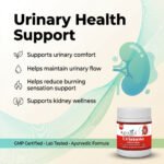 Uristone Powder (50 g) – Ayurvedic Support for Kidney Stone Removal & Urinary Health | Raveda Organics - Image 4