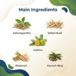 Dhatu Poshtik Churan (100 g) – Ayurvedic Tonic for Strength, Vitality & Dhatu Poshan | Raveda Organics - Image 4