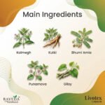 Livotex Capsule (30 Capsules) – Liver Detox & Digestive Health Support | Raveda Organics - Image 4