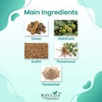 Uristone Powder (50 g) – Ayurvedic Support for Kidney Stone Removal & Urinary Health | Raveda Organics - Image 3