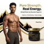 Shudh Shilajit – Pure Himalayan Shilajit Resin for Strength, Stamina & Vitality | Raveda Organics - Image 2